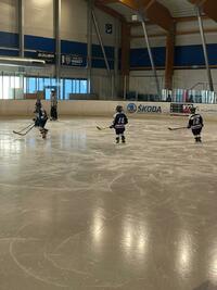 4. třídy Varnsdorf 23